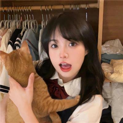 狸猫书生